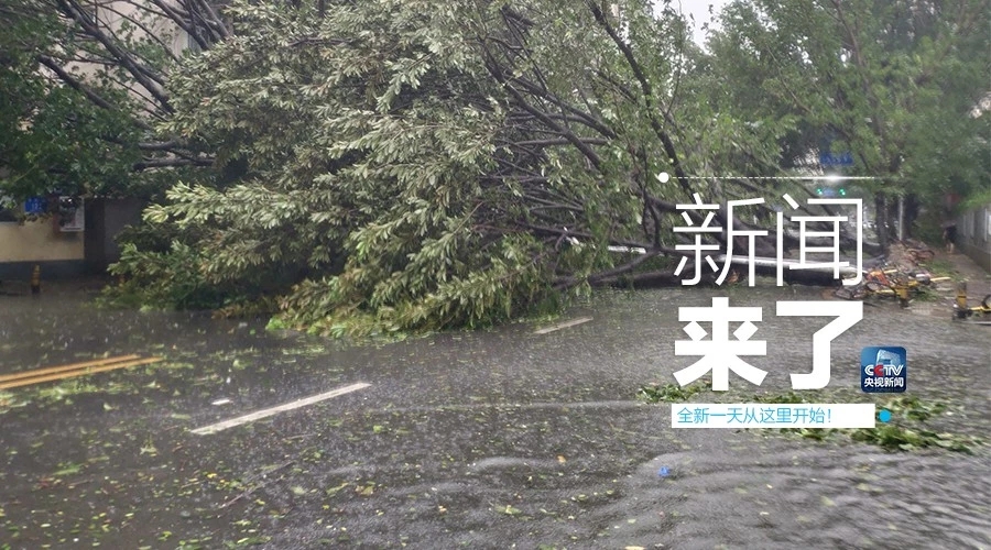 “山竹”怒過，高空塔吊你還好嗎？