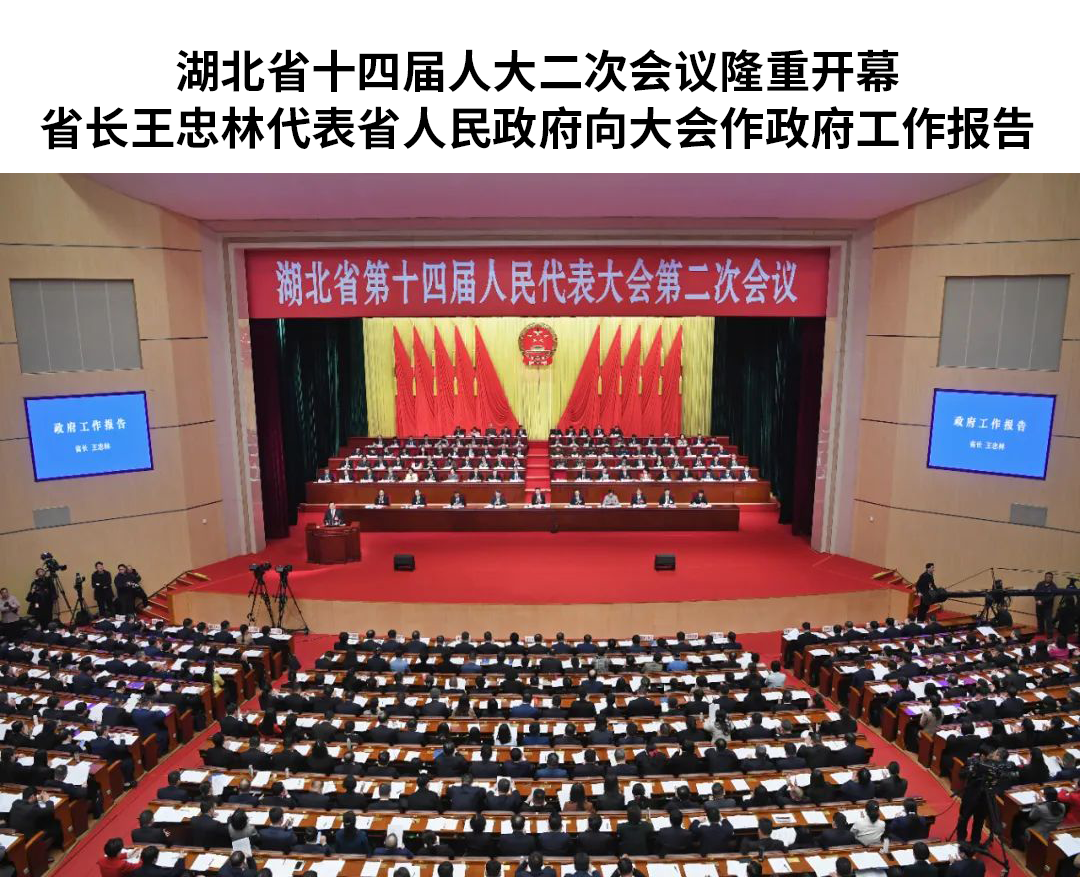 微特董事長聶道靜參加湖北省第十四屆人大二次會(huì)議并發(fā)言